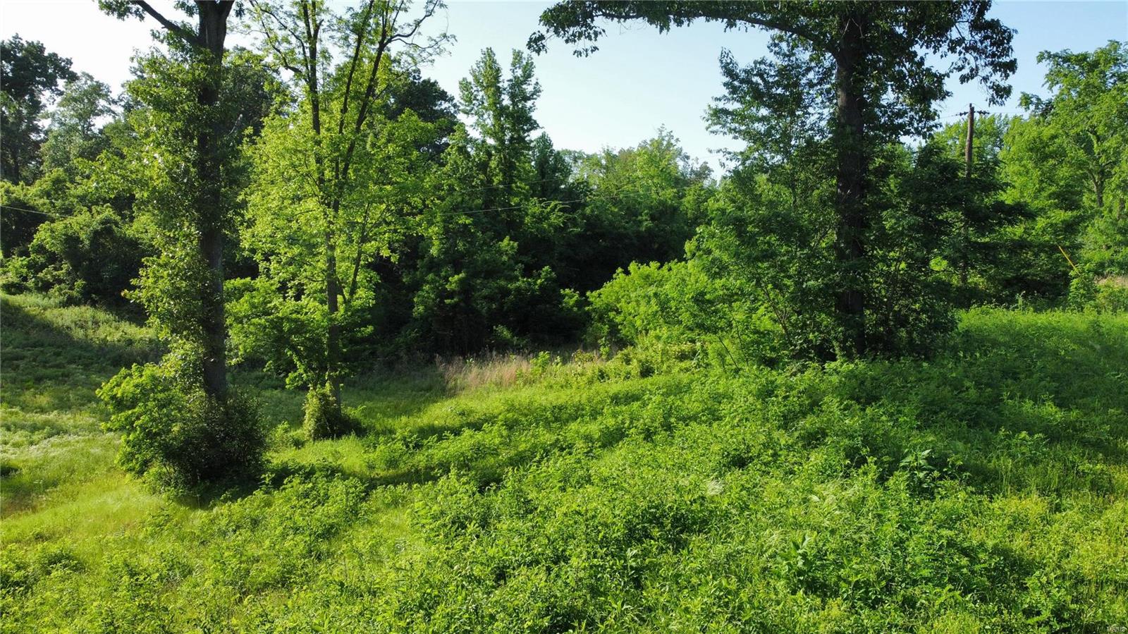 0 Us Highway 61 Property Photo 5