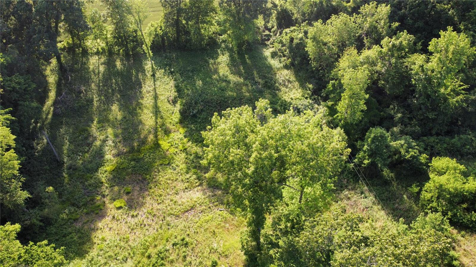 0 Us Highway 61 Property Photo 9