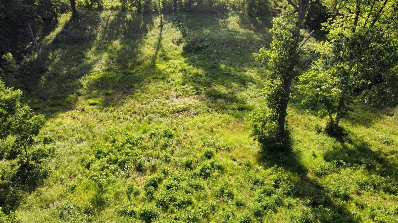 0 Us Highway 61 Property Photo 10
