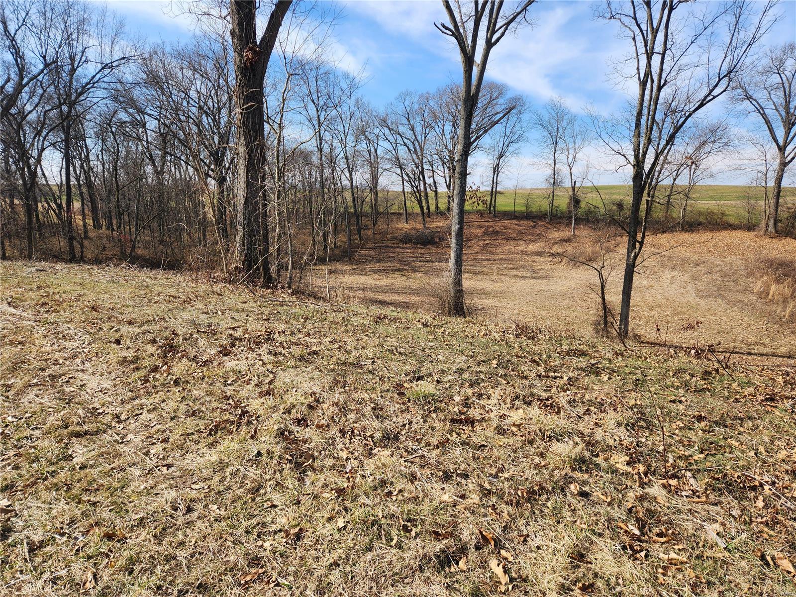 0 Us Highway 61 Property Photo 26