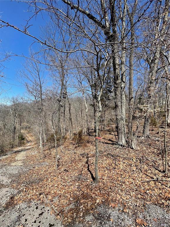 6463 Franks Road Property Photo 3