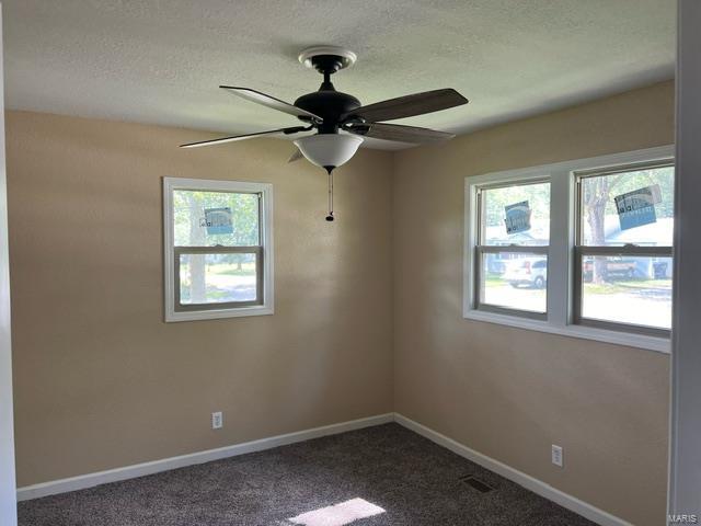 106 Martin Street Property Photo 10