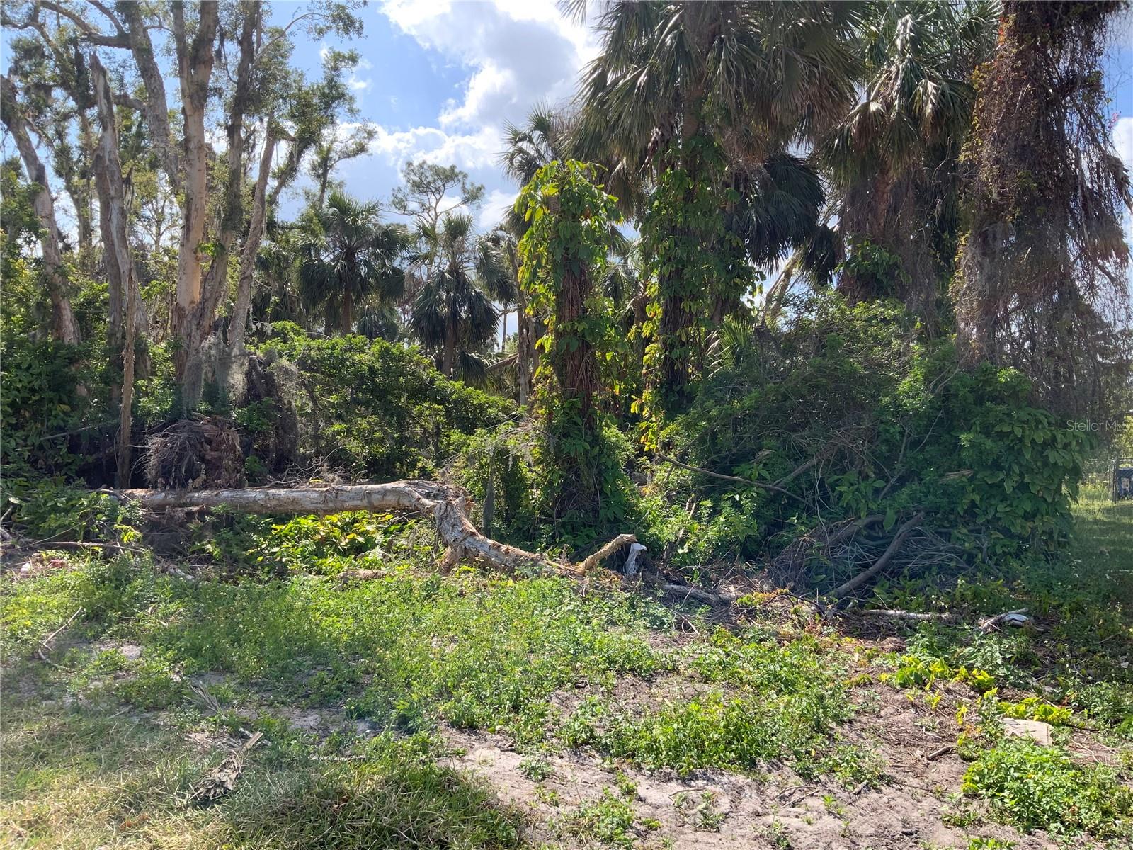 2271 Westwood Rd Property Photo 3