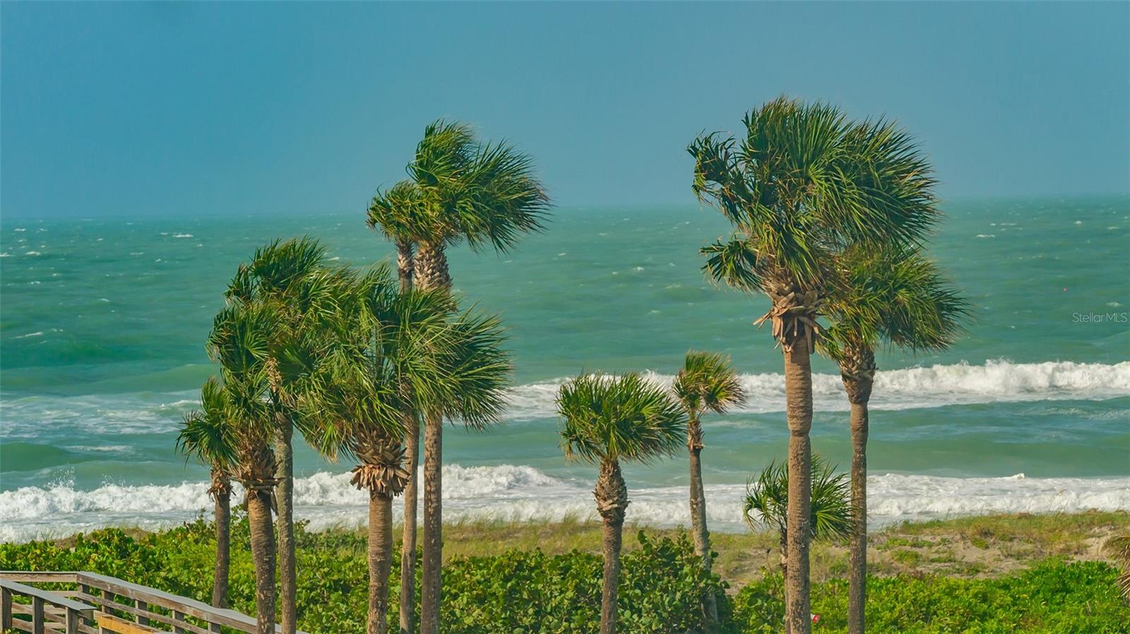 2109 Gulf Of Mexico Dr #1203 Property Photo 40