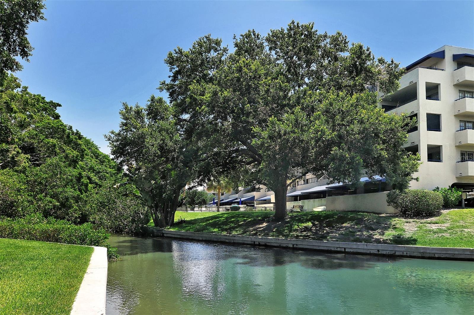 835 S Osprey Ave #201 Property Photo 39