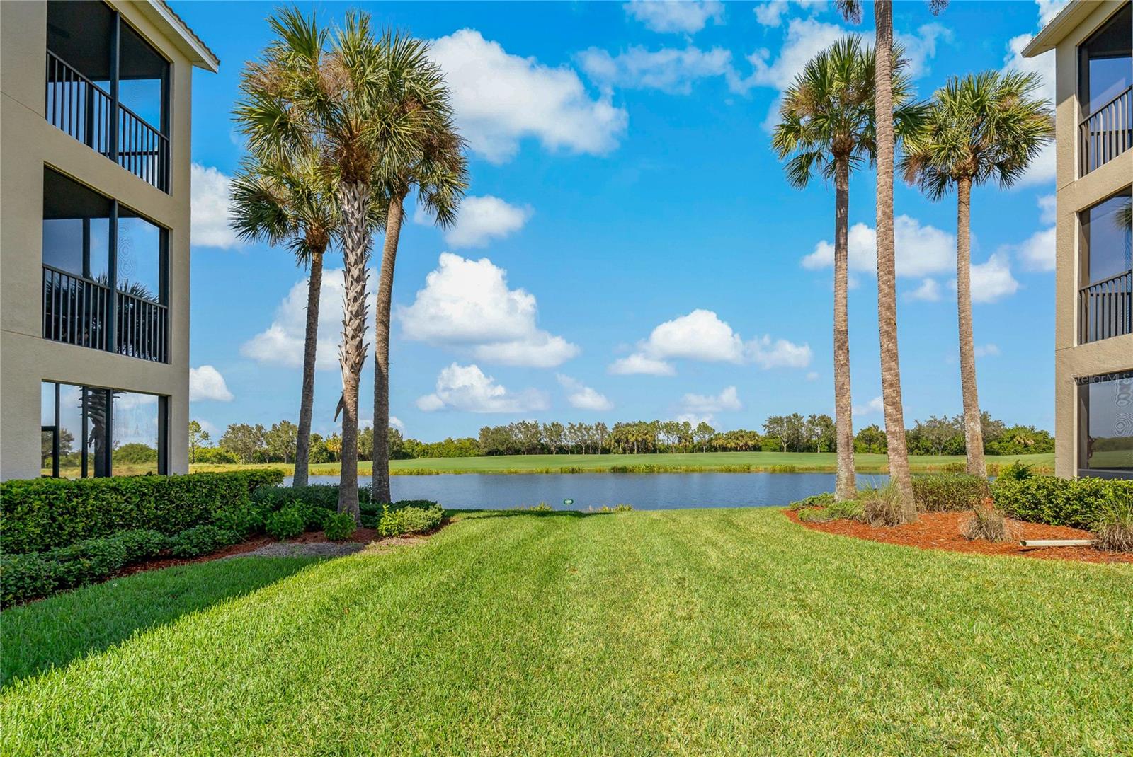 7015 River Hammock Dr #405 Property Photo 39