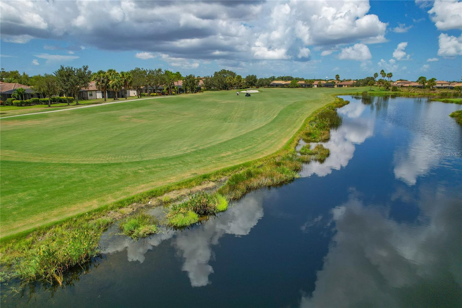 7015 River Hammock Dr #405 Property Photo 49