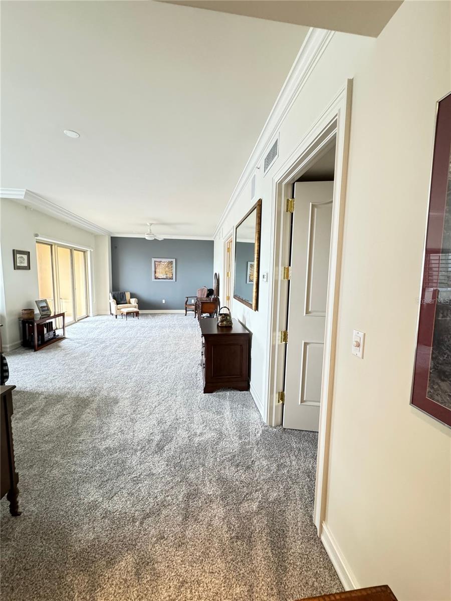 1111 Ritz Carlton Dr #1404 Property Photo 22