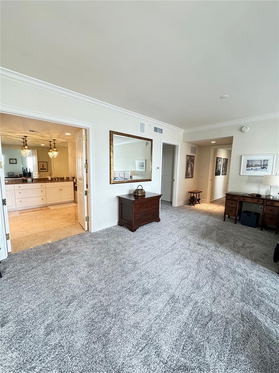 1111 Ritz Carlton Dr #1404 Property Photo 28