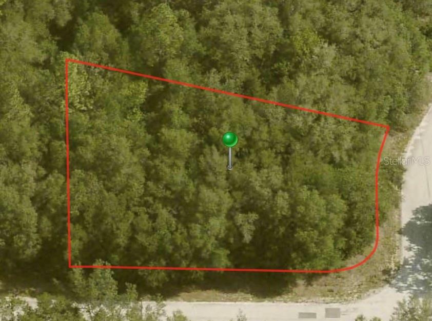 10098 N Halsey Way Property Photo 1