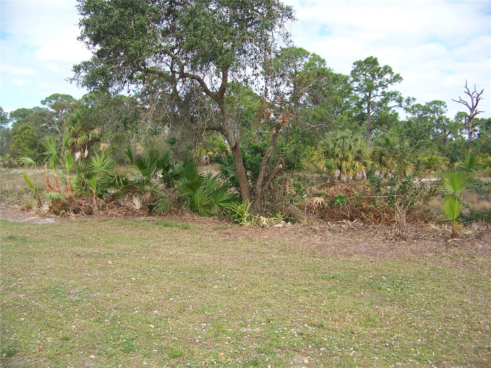 15550 Burnt Store Rd #51 Property Photo 6