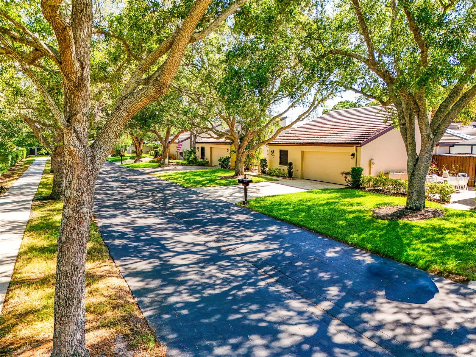 3806 Glen Oaks Manor Dr Property Photo 40