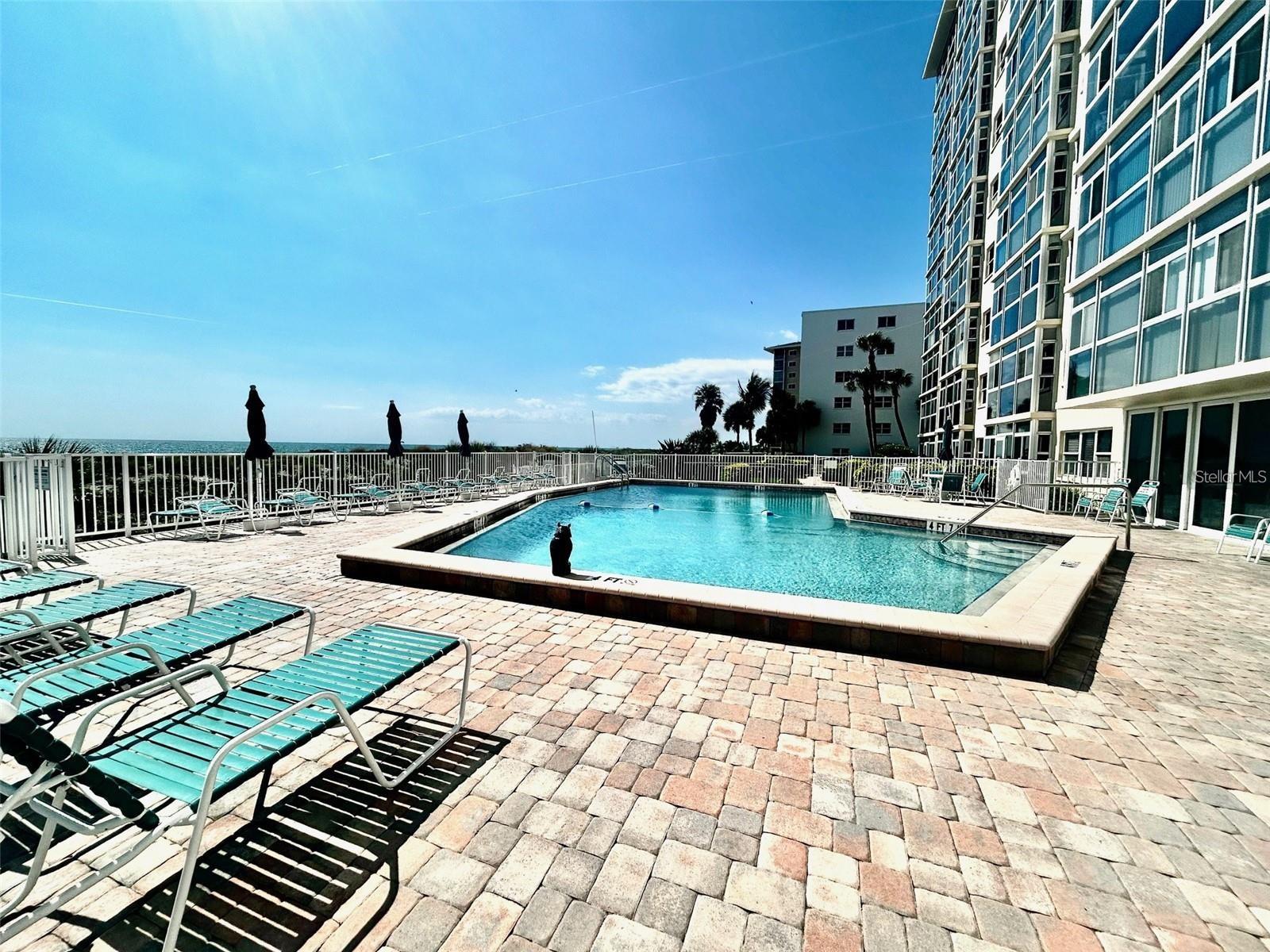 255 N The Esplanade #106 Property Photo 34