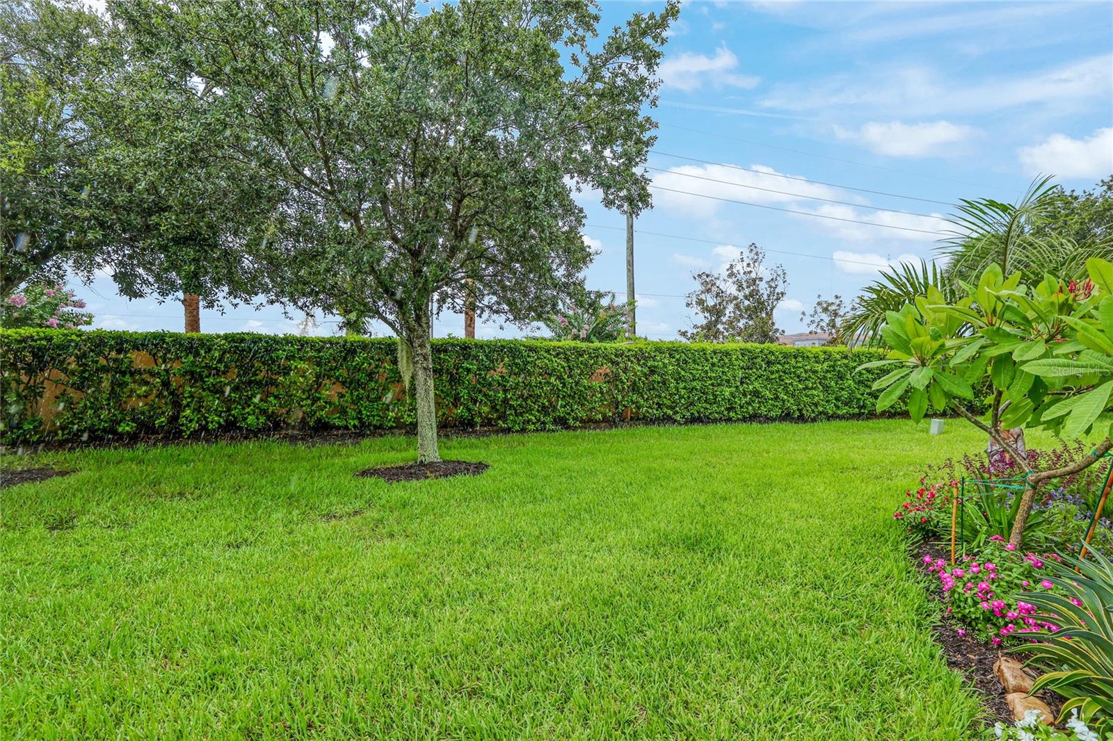 1154 Cielo Ct Property Photo 34