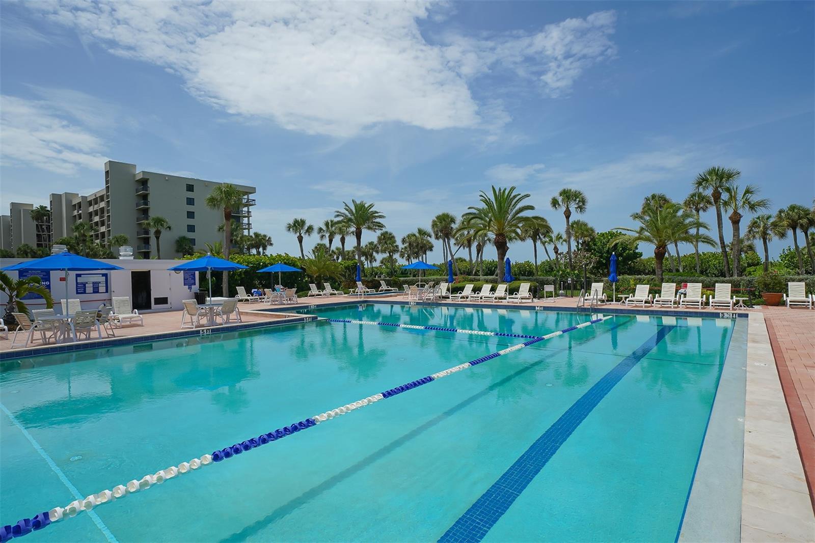1045 Gulf Of Mexico Dr #403 Property Photo 34