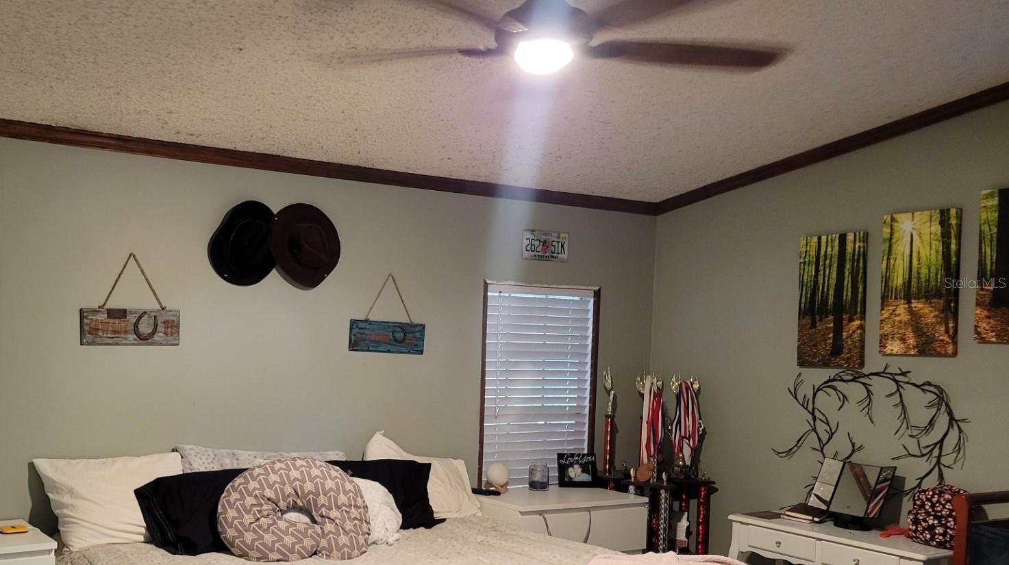 16180 Boyette Rd Property Photo 11