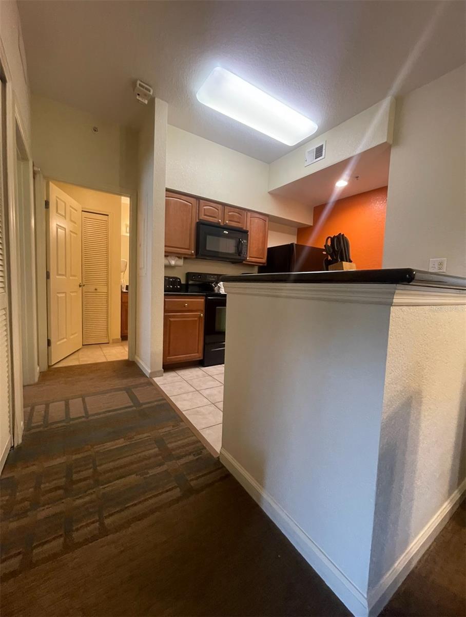 8101 Resort Village Dr #3303 Property Photo 6