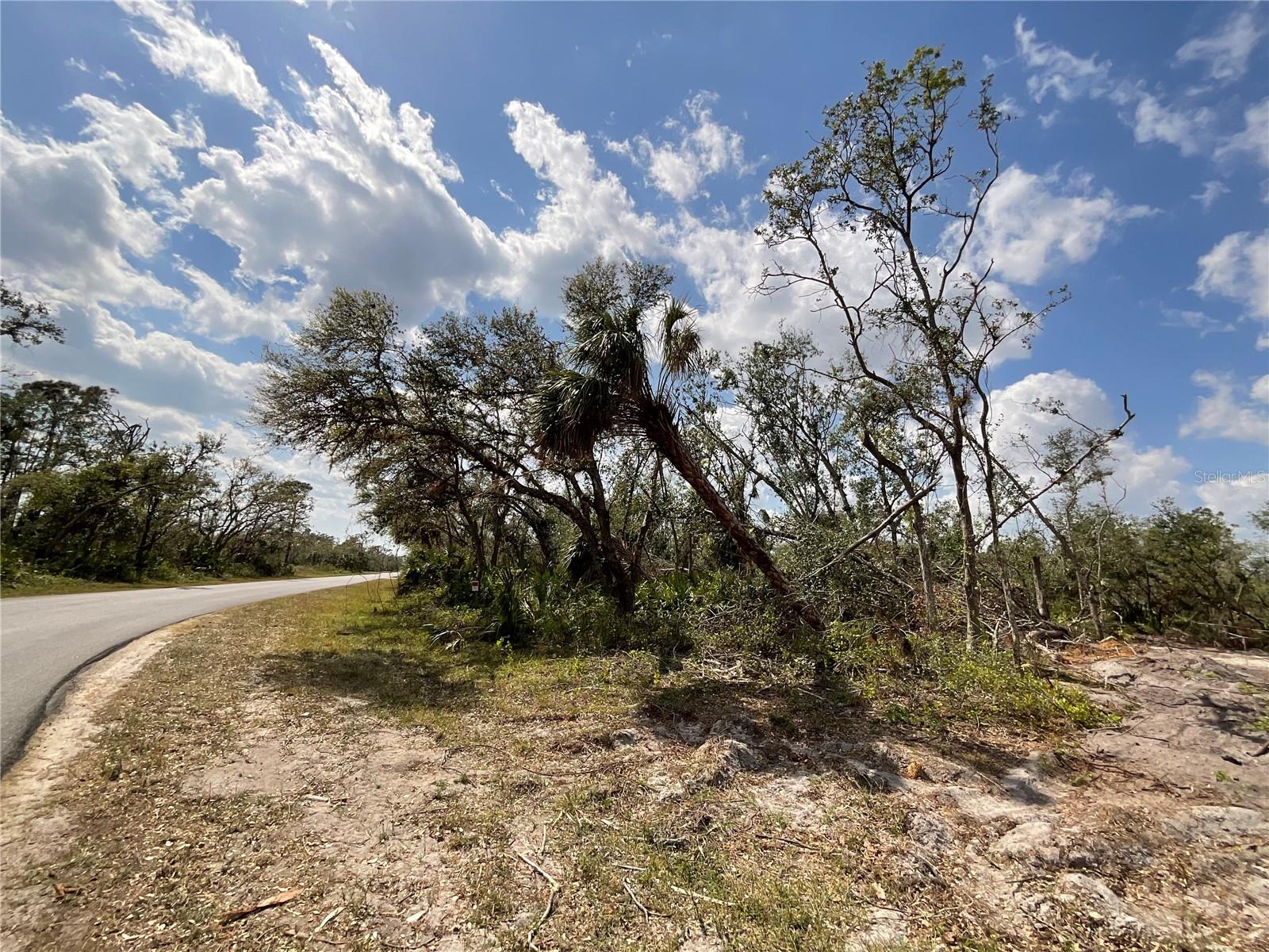1107 Bowman Ter Property Photo 2