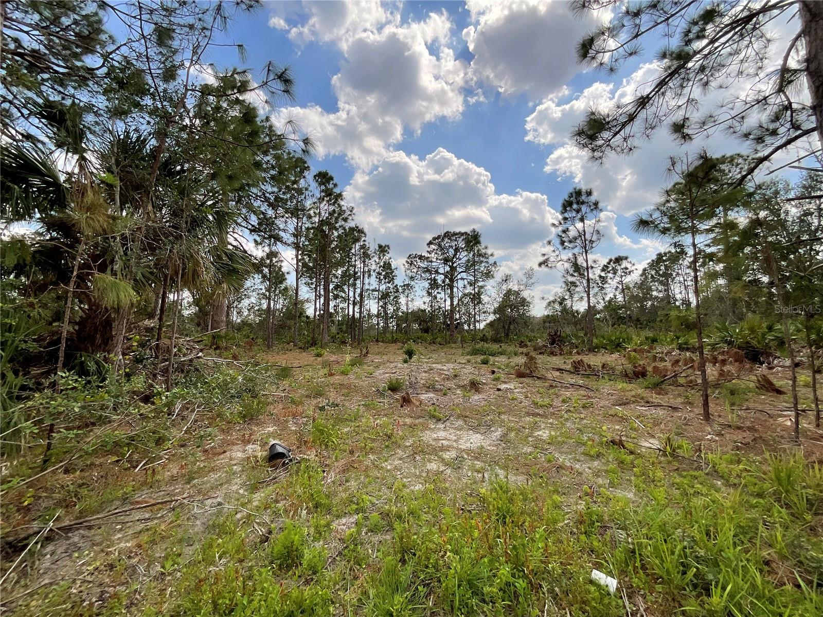 14371 Cannel Ln Property Photo 1