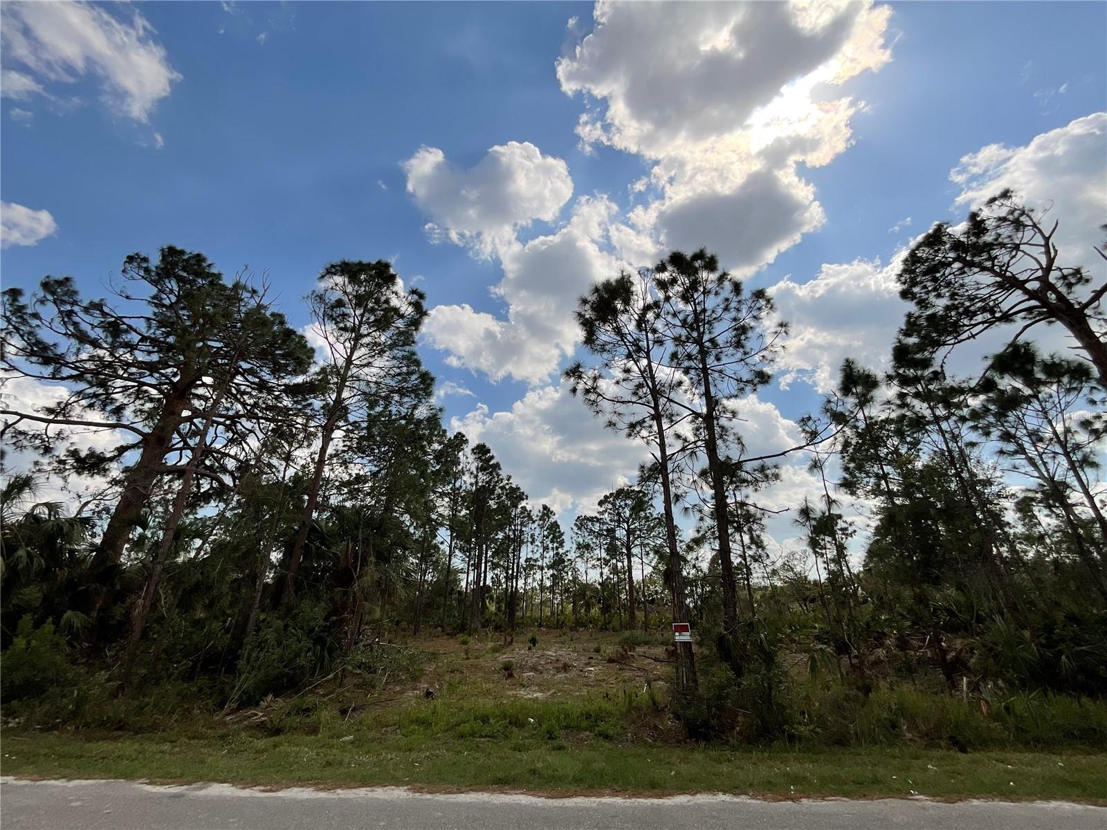 14371 Cannel Ln Property Photo 3