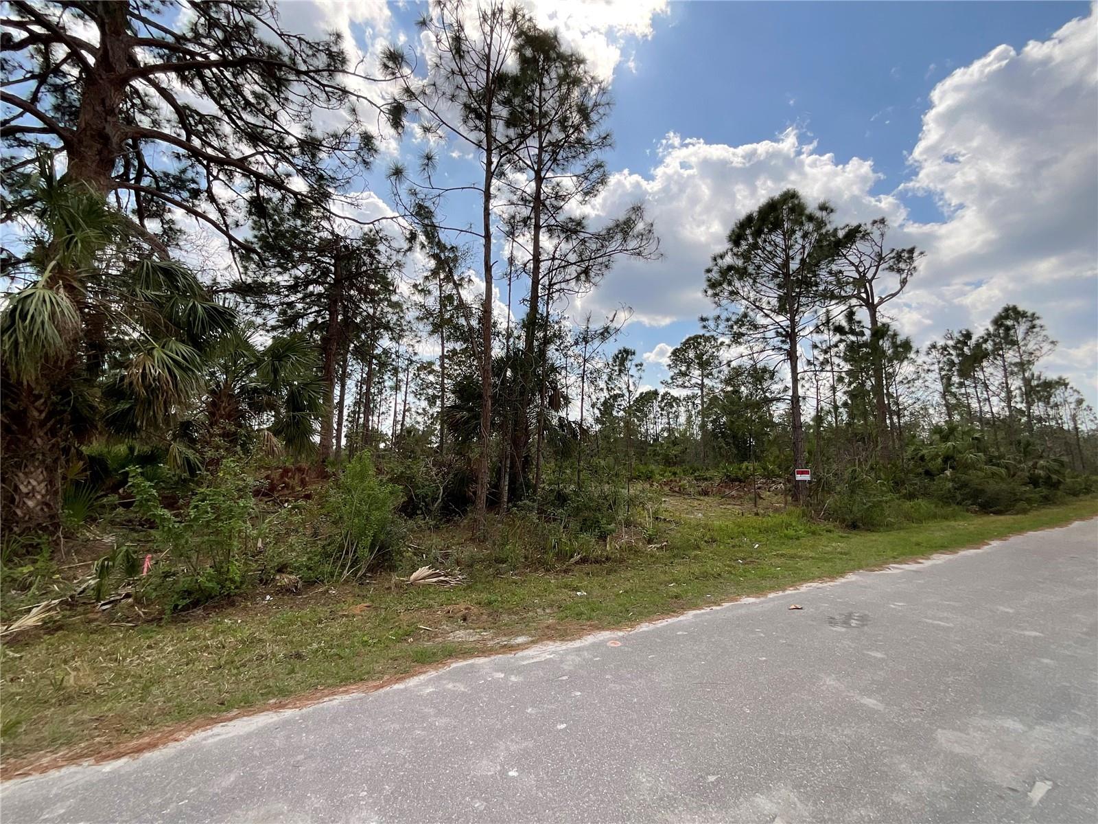 14371 Cannel Ln Property Photo 5