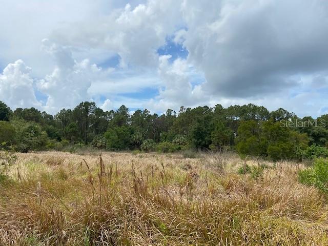Joejeff St Property Photo 4