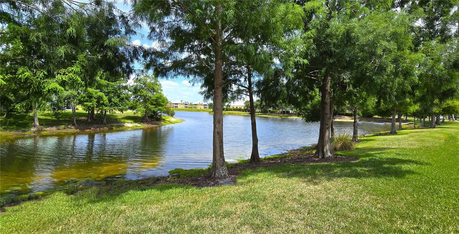 2061 Willow Hammock Cir #202 Property Photo 4