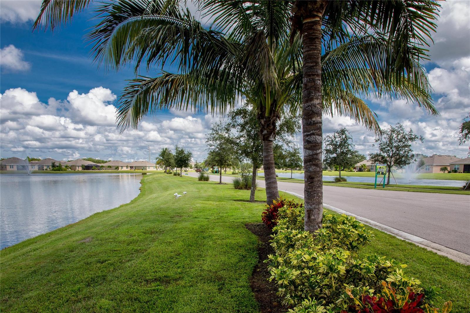 7049 Crystal Way Property Photo 50