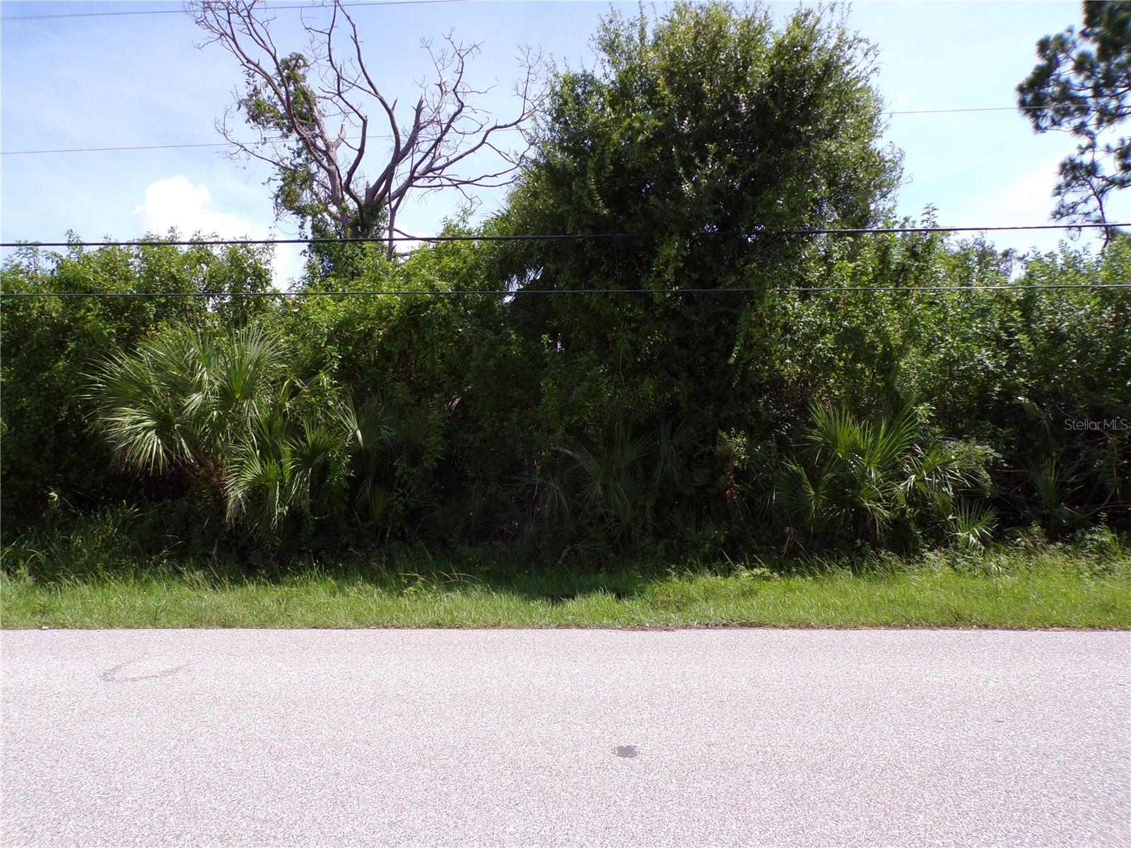 9241 Fruitland Ave Property Photo 1