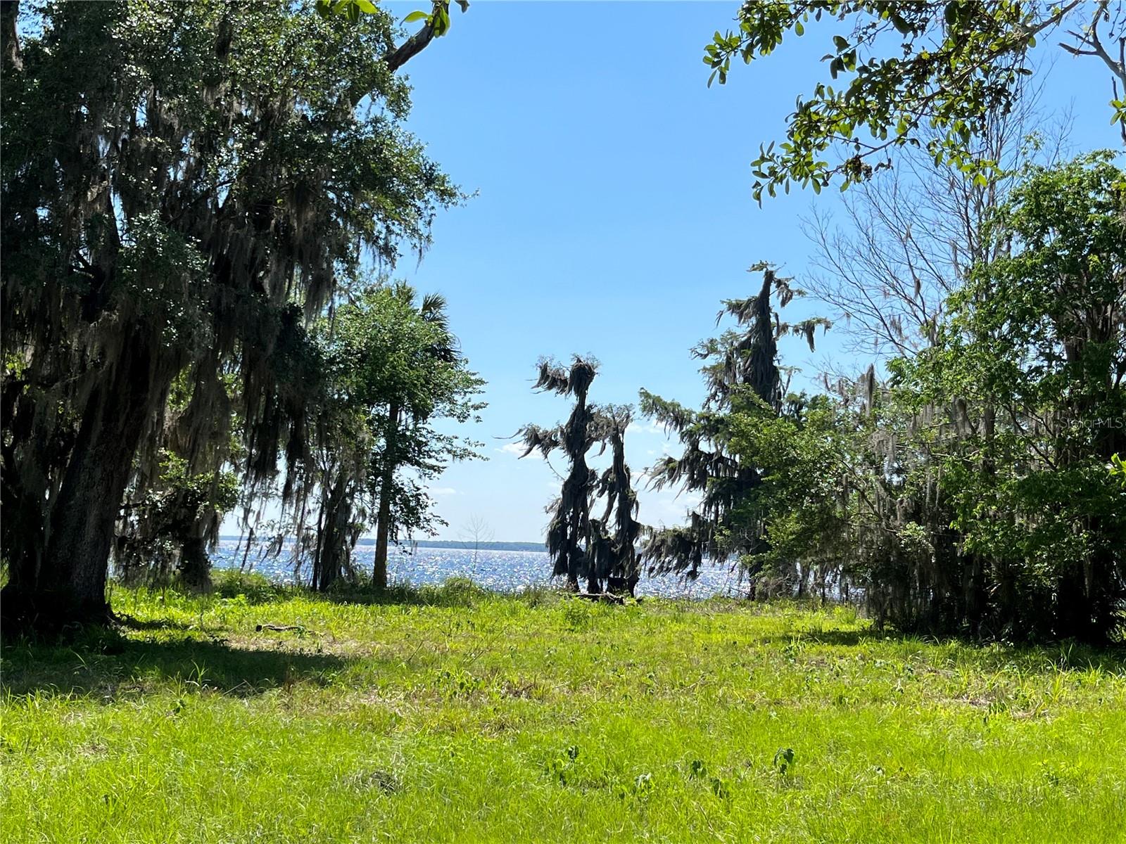 Andalusia Trail Property Photo 6