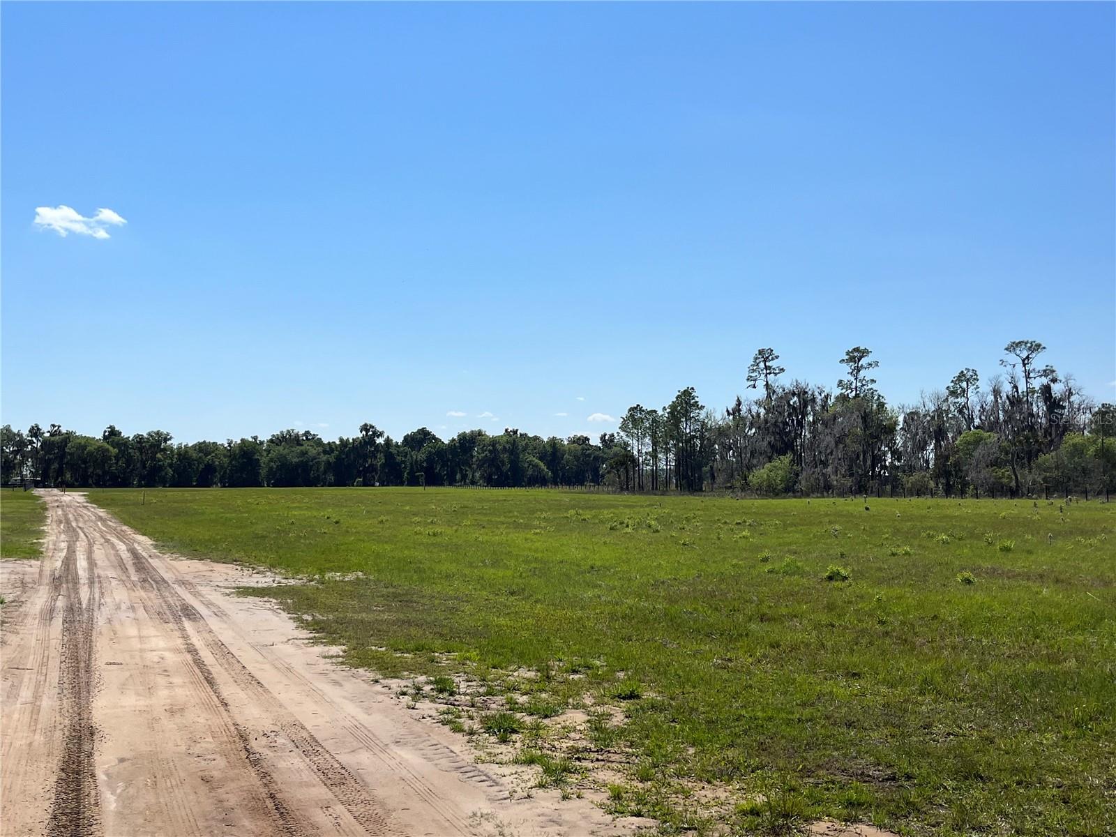 Andalusia Trail Property Photo 7