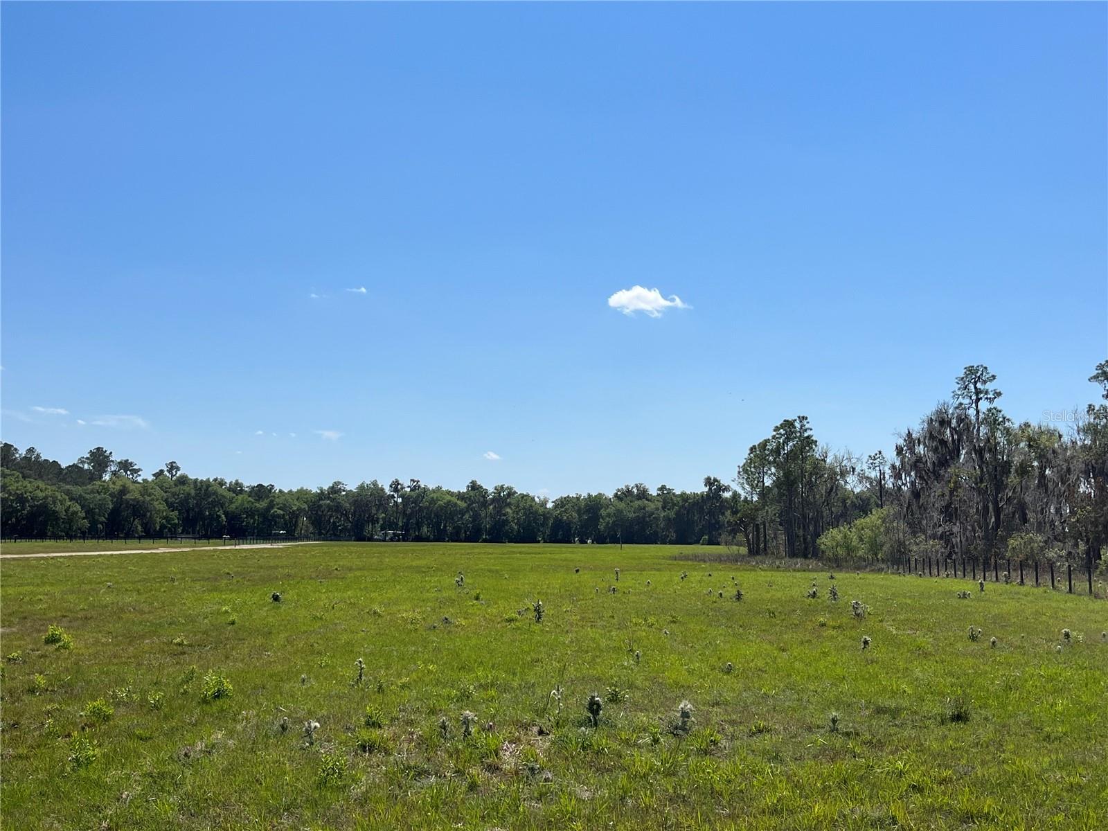 Andalusia Trail Property Photo 8