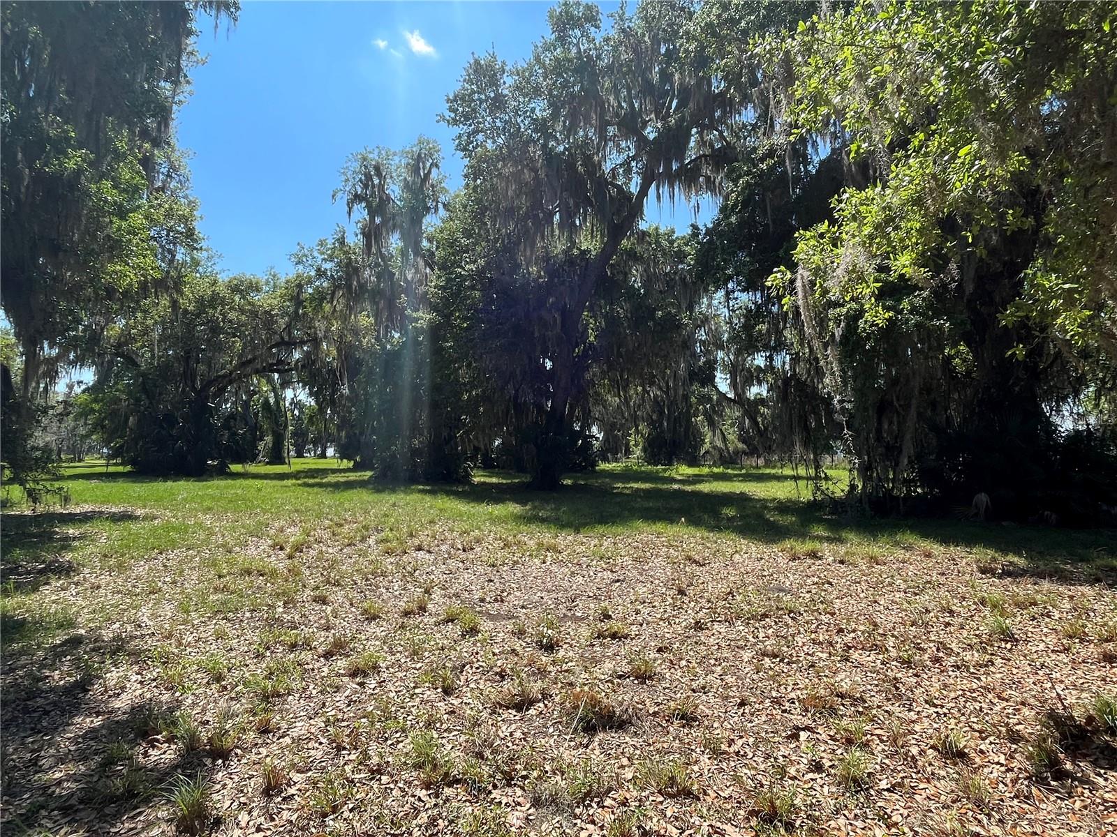Andalusia Trail Property Photo 10