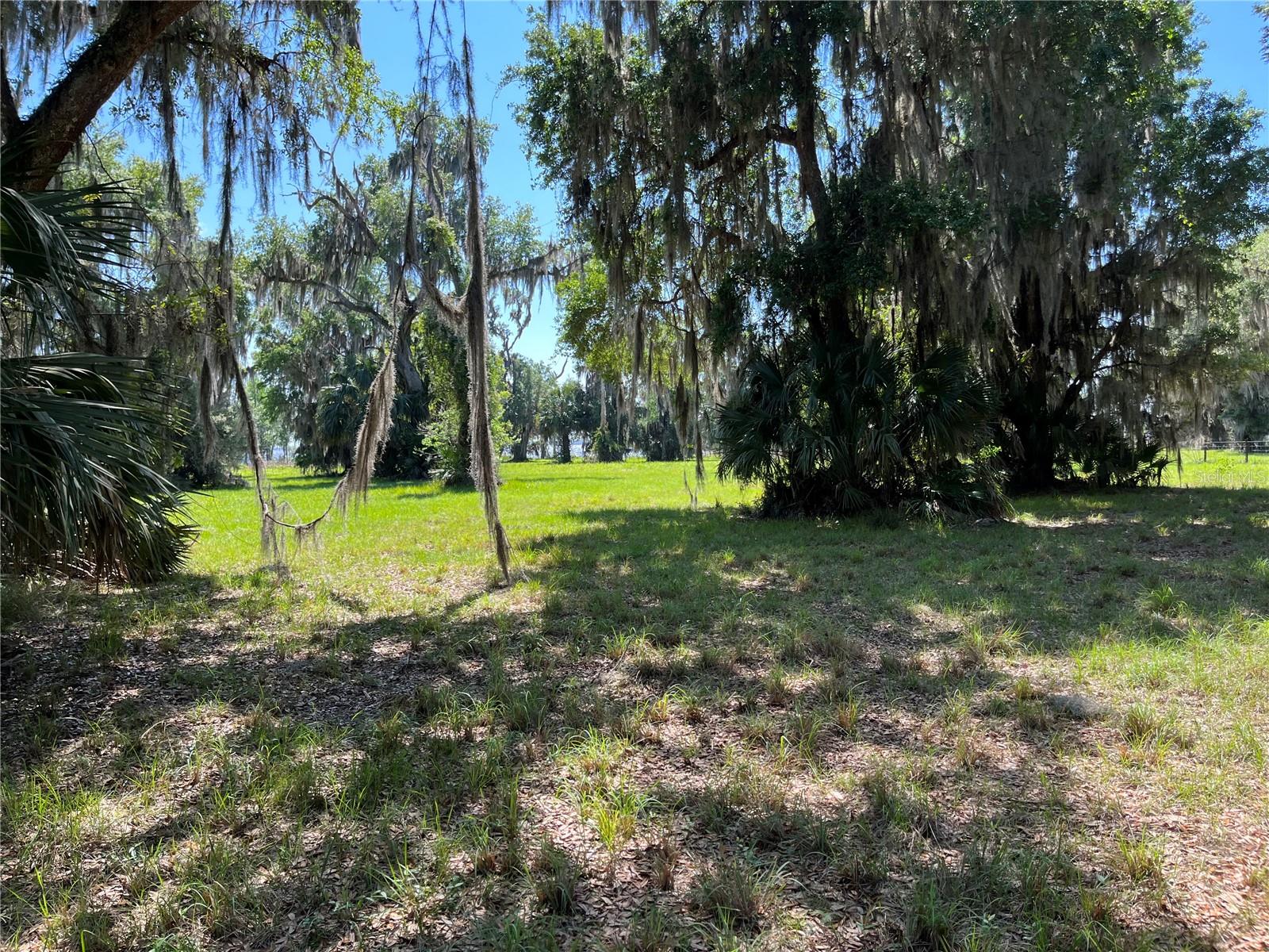 Andalusia Trail Property Photo 11