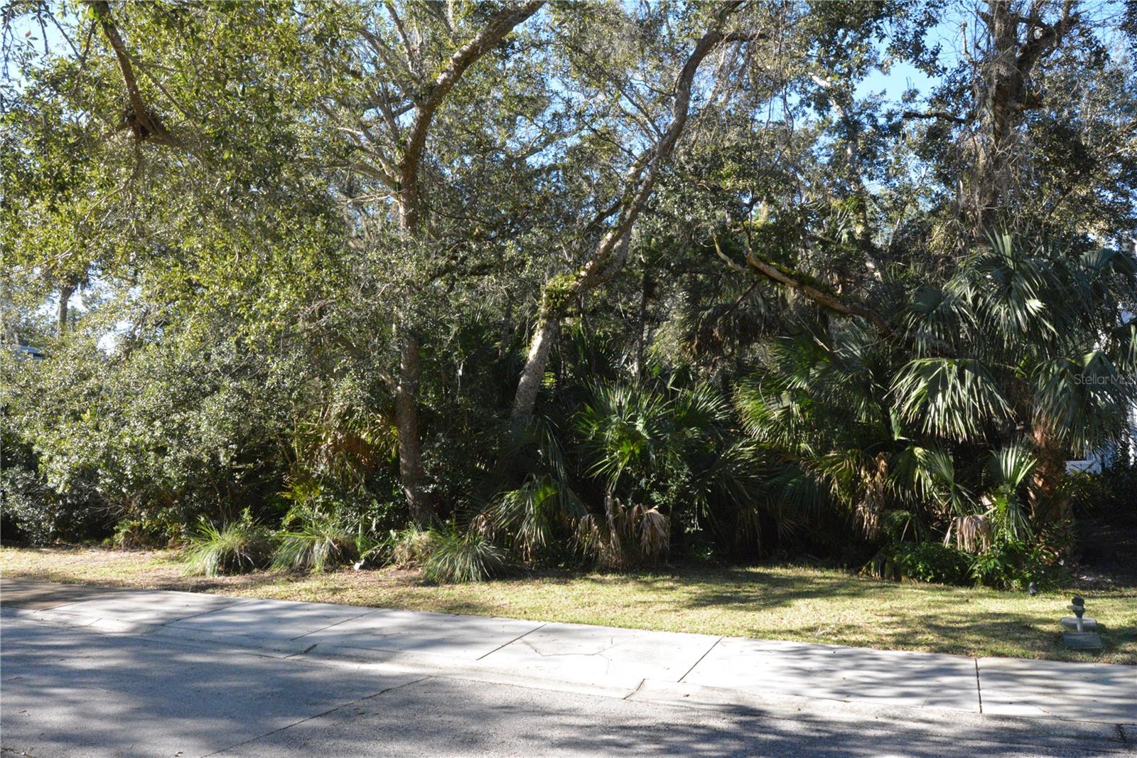11 Shady Oak Ln Property Photo 4