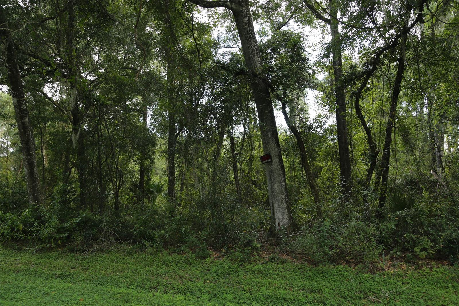 2912 Plymouth Oaks Rd Property Photo 2