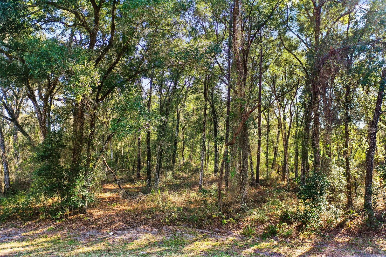 2912 Plymouth Oaks Rd Property Photo 10