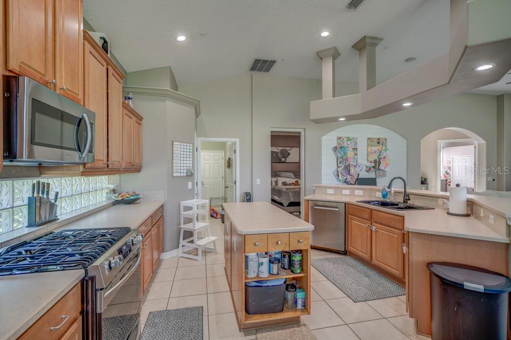 32313 Oak Canopy Dr Property Photo 7