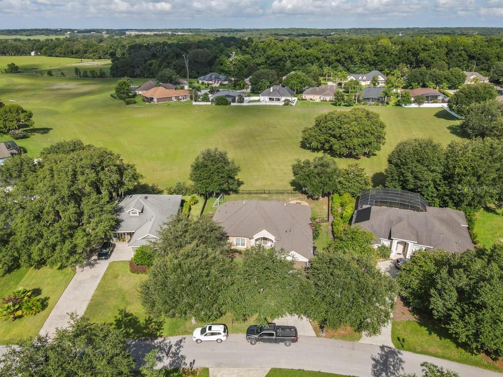32313 Oak Canopy Dr Property Photo 25