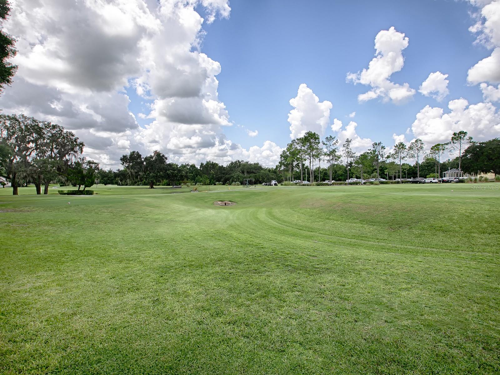 536 Grand Vista Trl Property Photo 49