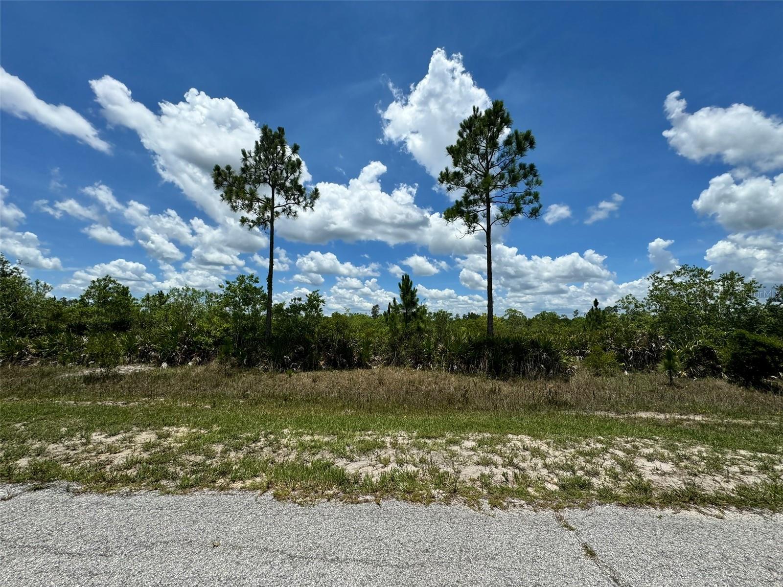 Lot #2 Meadowlark Blvd Property Photo 4
