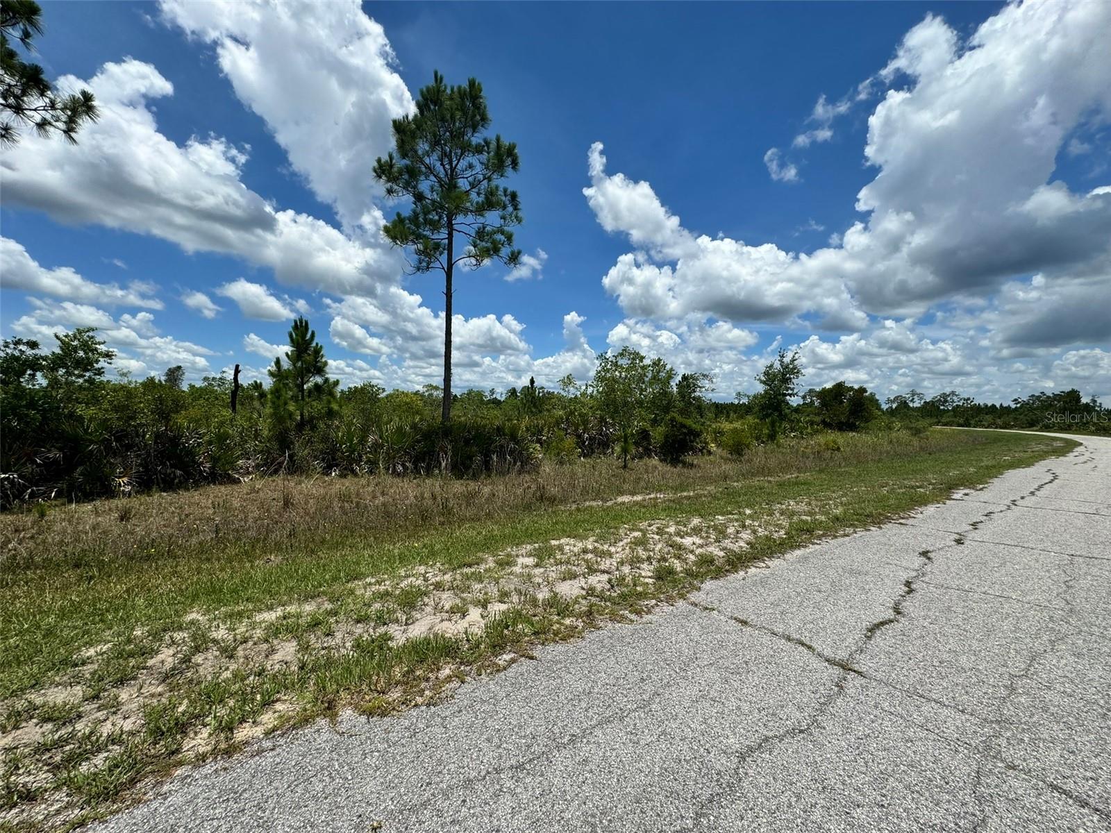 Lot #2 Meadowlark Blvd Property Photo 6