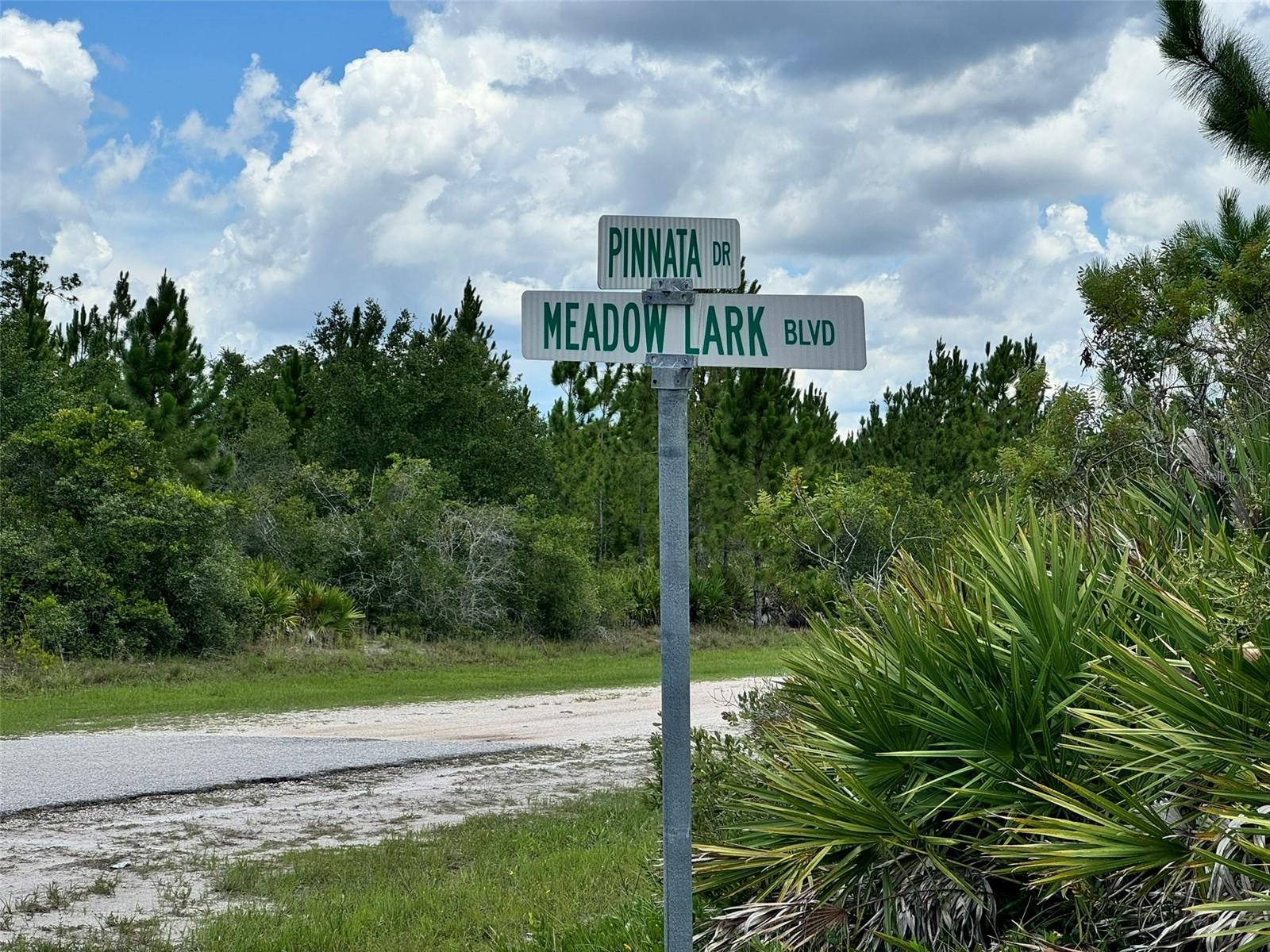 Lot #2 Meadowlark Blvd Property Photo 9