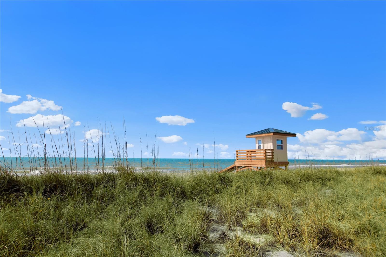 11815 Tempest Harbor Loop Property Photo 46