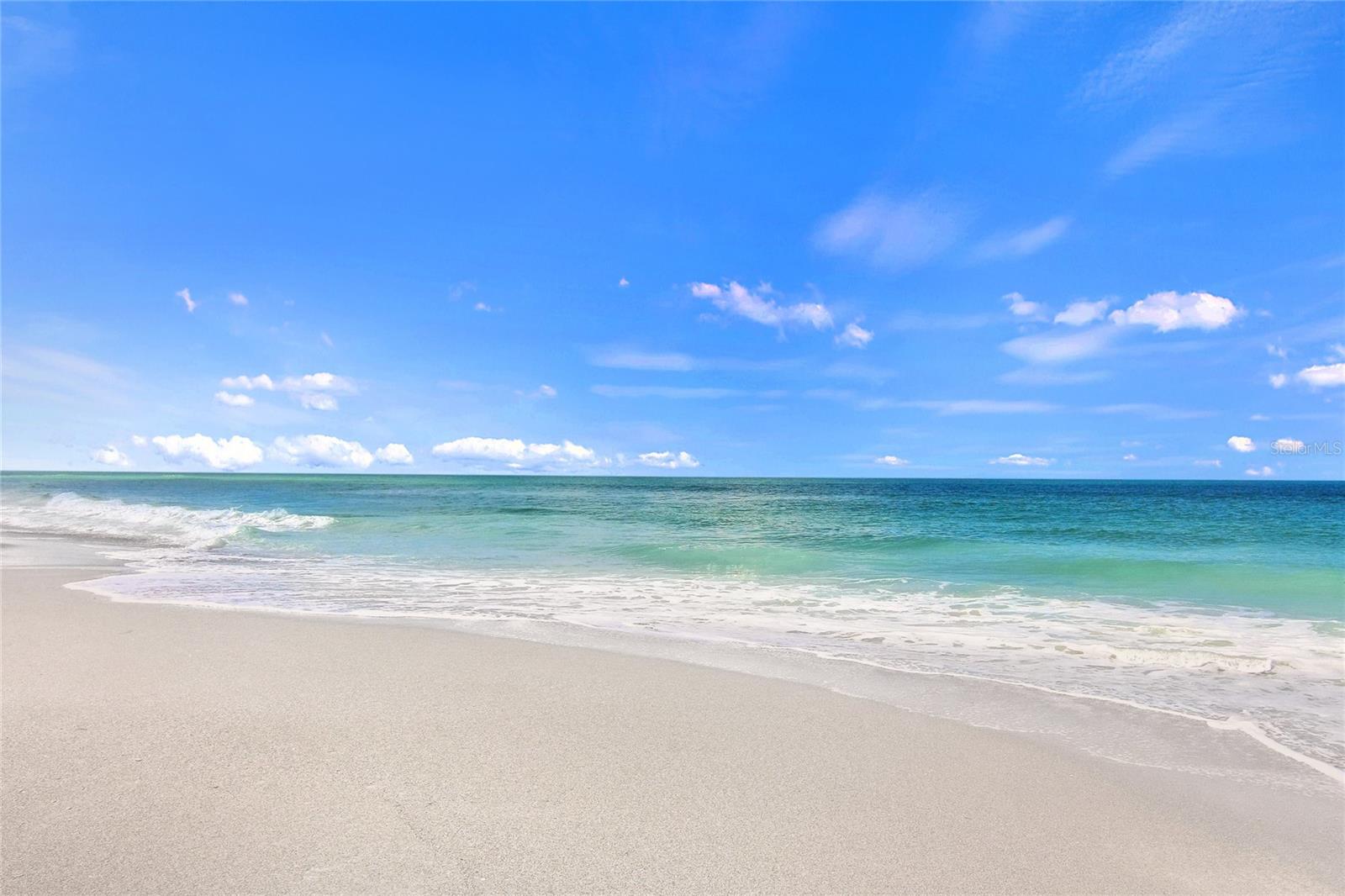 11815 Tempest Harbor Loop Property Photo 47