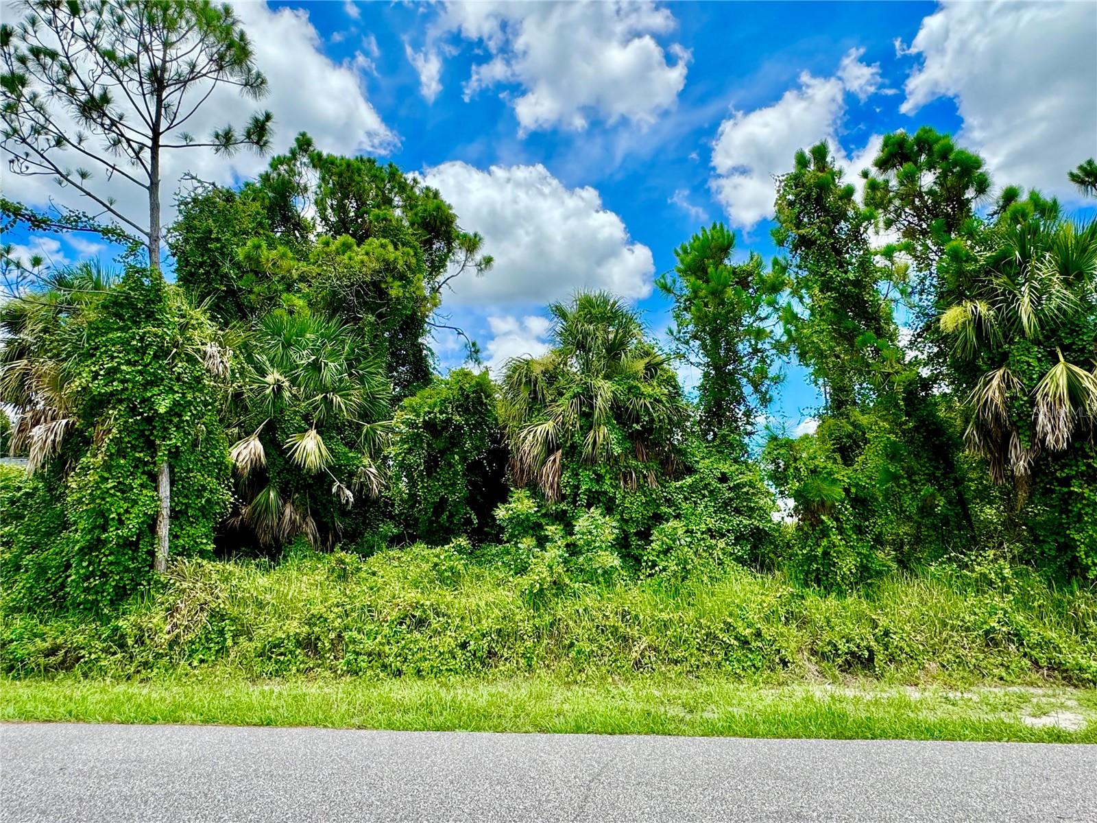 Lot 33 Rice Ter Property Photo 1