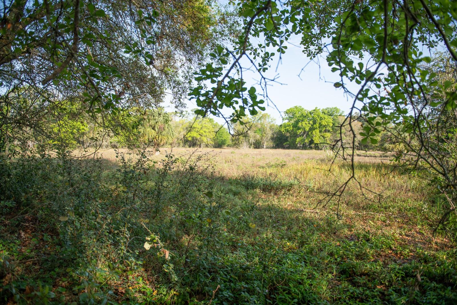2650 Missouri Ave Property Photo 27