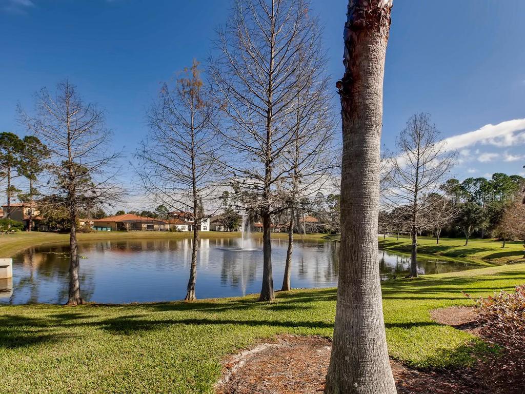 679 Lazio Cir Property Photo 45