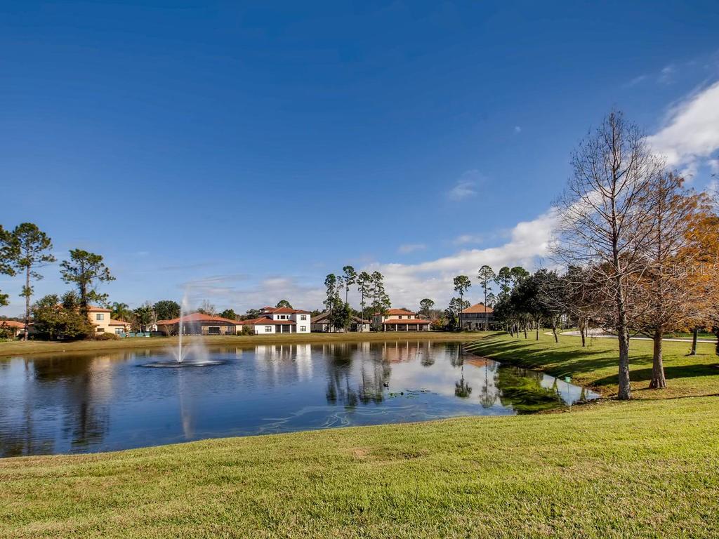 679 Lazio Cir Property Photo 48