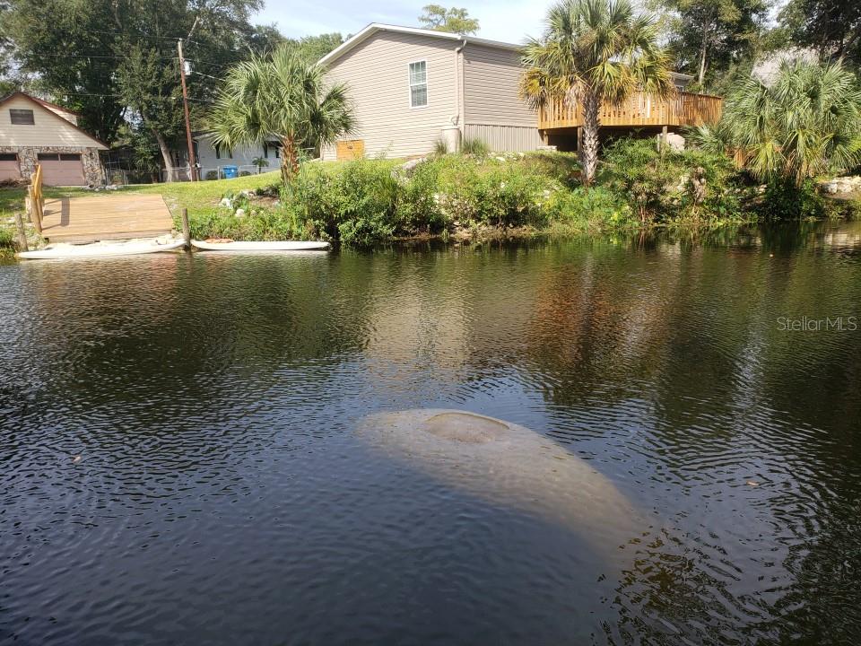 6300 Theodan St Property Photo 5